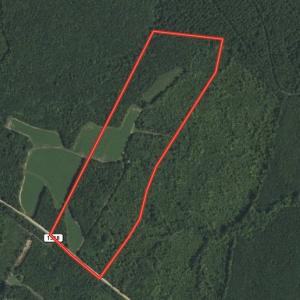 Photo #1 of SOLD property in Off Old Macon Hwy, Macon, NC 42.0 acres