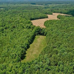 Photo #5 of SOLD property in Off Old Macon Hwy, Macon, NC 42.0 acres