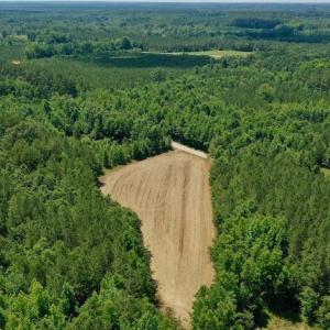Photo #8 of SOLD property in Off Old Macon Hwy, Macon, NC 42.0 acres