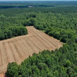 Photo #9 of SOLD property in Off Old Macon Hwy, Macon, NC 42.0 acres