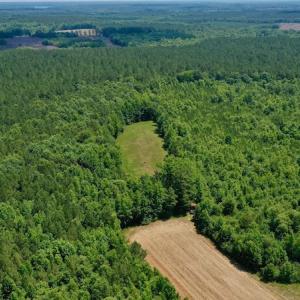 Photo #10 of SOLD property in Off Old Macon Hwy, Macon, NC 42.0 acres