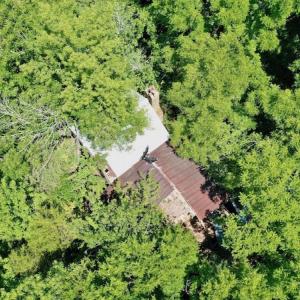 Photo #15 of SOLD property in Off Old Macon Hwy, Macon, NC 42.0 acres