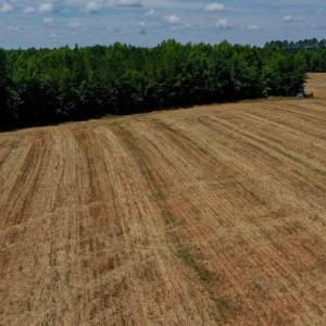 Photo #18 of SOLD property in Off Old Macon Hwy, Macon, NC 42.0 acres