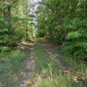 Photo #22 of SOLD property in Off Old Macon Hwy, Macon, NC 42.0 acres