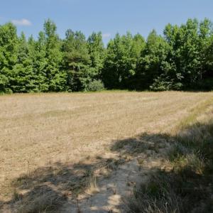 Photo #33 of SOLD property in Off Old Macon Hwy, Macon, NC 42.0 acres