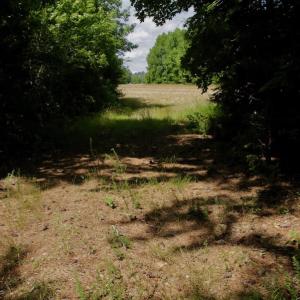 Photo #39 of SOLD property in Off Old Macon Hwy, Macon, NC 42.0 acres