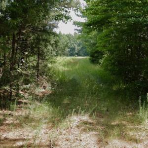 Photo #40 of SOLD property in Off Old Macon Hwy, Macon, NC 42.0 acres