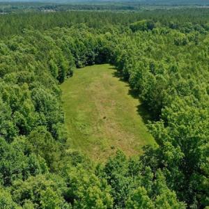 Photo #4 of SOLD property in Off Old Macon Hwy, Macon, NC 42.0 acres