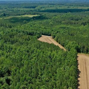 Photo #12 of SOLD property in Off Old Macon Hwy, Macon, NC 42.0 acres