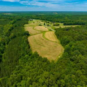 Photo #4 of SOLD property in Off Ephesus Church Road, Semora, NC 17.5 acres