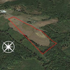 Photo #7 of SOLD property in Off Ephesus Church Road, Semora, NC 17.5 acres