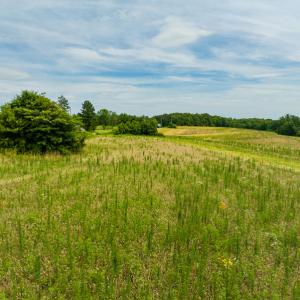 Photo #10 of SOLD property in Off Ephesus Church Road, Semora, NC 17.5 acres