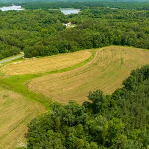 Photo #13 of SOLD property in Off Ephesus Church Road, Semora, NC 17.5 acres