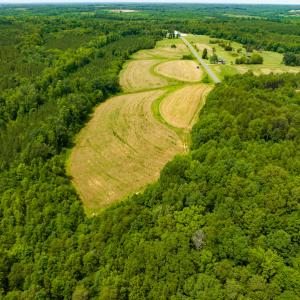 Photo #15 of SOLD property in Off Ephesus Church Road, Semora, NC 17.5 acres