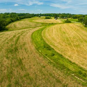 Photo #16 of SOLD property in Off Ephesus Church Road, Semora, NC 17.5 acres