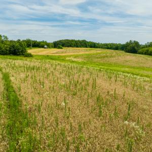 Photo #18 of SOLD property in Off Ephesus Church Road, Semora, NC 17.5 acres
