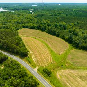 Photo #19 of SOLD property in Off Ephesus Church Road, Semora, NC 17.5 acres