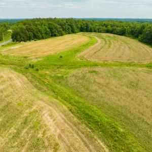 Photo #20 of SOLD property in Off Ephesus Church Road, Semora, NC 17.5 acres
