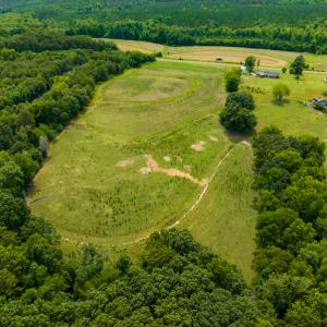 Photo #4 of SOLD property in Off Ephesus Church Road, Semora, NC 34.1 acres