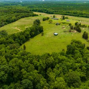 Photo #5 of SOLD property in Off Ephesus Church Road, Semora, NC 34.1 acres