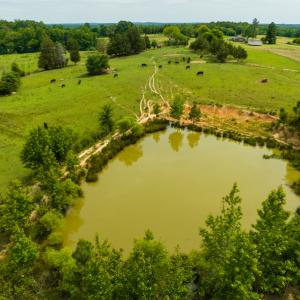 Photo #9 of SOLD property in Off Ephesus Church Road, Semora, NC 34.1 acres