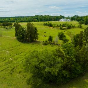 Photo #16 of SOLD property in Off Ephesus Church Road, Semora, NC 34.1 acres