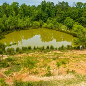 Photo #20 of SOLD property in Off Ephesus Church Road, Semora, NC 34.1 acres