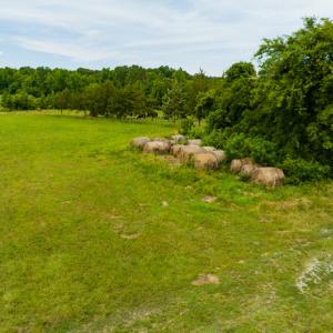 Photo #29 of SOLD property in Off Ephesus Church Road, Semora, NC 34.1 acres