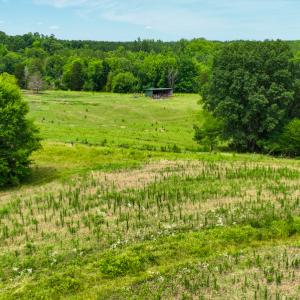 Photo #34 of SOLD property in Off Ephesus Church Road, Semora, NC 34.1 acres
