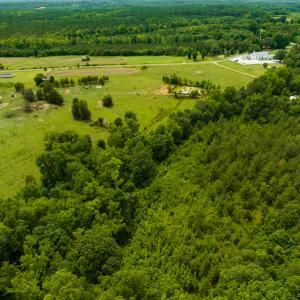 Photo #38 of SOLD property in Off Ephesus Church Road, Semora, NC 34.1 acres