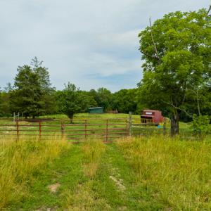 Photo #40 of SOLD property in Off Ephesus Church Road, Semora, NC 34.1 acres
