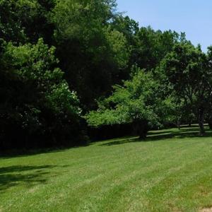 Photo #26 of SOLD property in 717 Glade Creek Road, Woodlawn, VA 4.0 acres