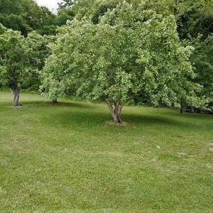 Photo #28 of SOLD property in 717 Glade Creek Road, Woodlawn, VA 4.0 acres