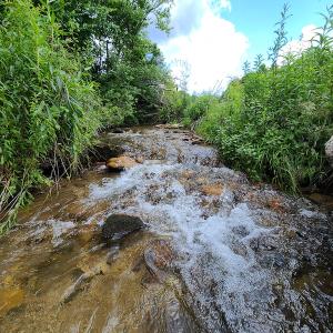 Photo #35 of Off Pond Mountain Lane, Whitetop, VA 186.5 acres