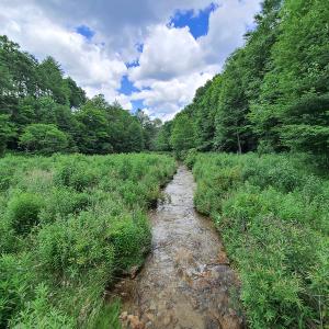 Photo #33 of Off Pond Mountain Lane, Whitetop, VA 186.5 acres