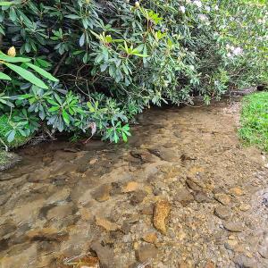 Photo #34 of Off Pond Mountain Lane, Whitetop, VA 186.5 acres