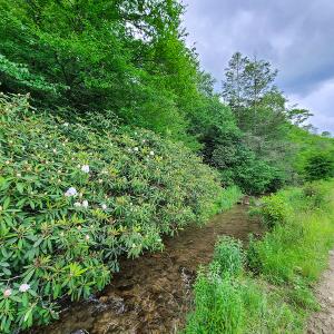 Photo #37 of Off Pond Mountain Lane, Whitetop, VA 186.5 acres