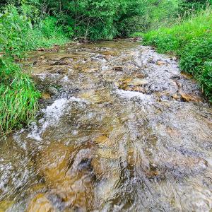 Photo #36 of Off Pond Mountain Lane, Whitetop, VA 186.5 acres