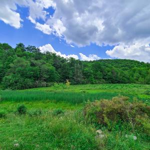 Photo #3 of Off Pond Mountain Lane, Whitetop, VA 186.5 acres