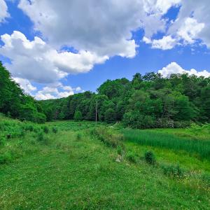 Photo #4 of Off Pond Mountain Lane, Whitetop, VA 186.5 acres