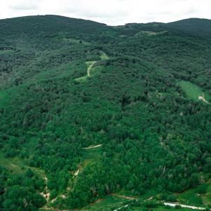 Photo #5 of Off Pond Mountain Lane, Whitetop, VA 186.5 acres