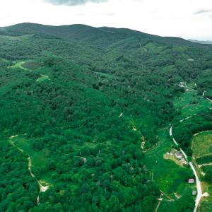 Photo #6 of Off Pond Mountain Lane, Whitetop, VA 186.5 acres