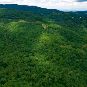 Photo #9 of Off Pond Mountain Lane, Whitetop, VA 186.5 acres