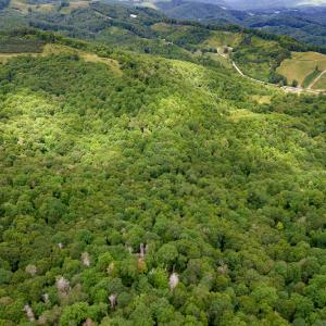 Photo #10 of Off Pond Mountain Lane, Whitetop, VA 186.5 acres