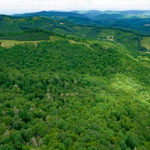 Photo #11 of Off Pond Mountain Lane, Whitetop, VA 186.5 acres