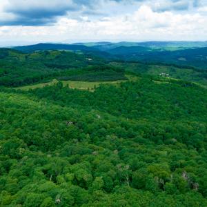 Photo #12 of Off Pond Mountain Lane, Whitetop, VA 186.5 acres