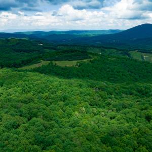 Photo #13 of Off Pond Mountain Lane, Whitetop, VA 186.5 acres