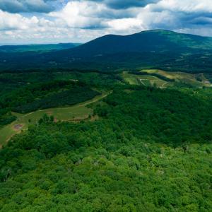 Photo #15 of Off Pond Mountain Lane, Whitetop, VA 186.5 acres