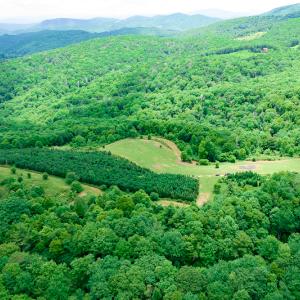 Photo #20 of Off Pond Mountain Lane, Whitetop, VA 186.5 acres