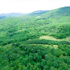 Photo #21 of Off Pond Mountain Lane, Whitetop, VA 186.5 acres